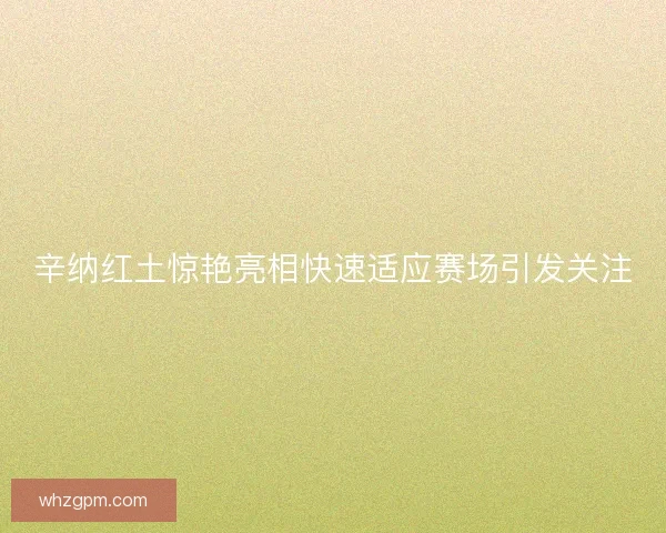 辛纳红土惊艳亮相快速适应赛场引发关注