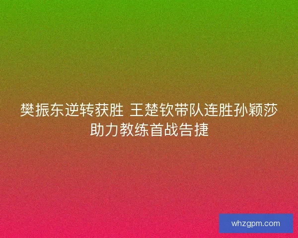 樊振东逆转获胜 王楚钦带队连胜孙颖莎助力教练首战告捷 樊振东逆转获胜 王楚钦带队连胜孙颖莎助力教练首战告捷
