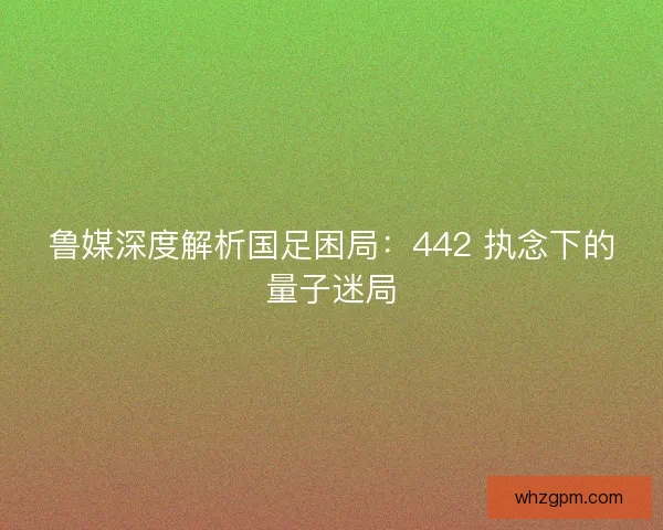 鲁媒深度解析国足困局：442 执念下的量子迷局